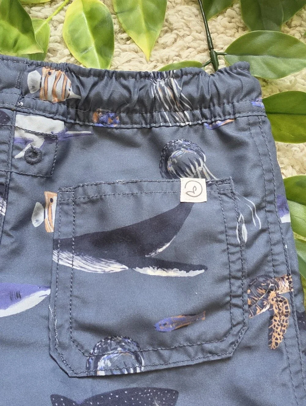 Toddler Boy Sea Life Swimming Shorts (2T)